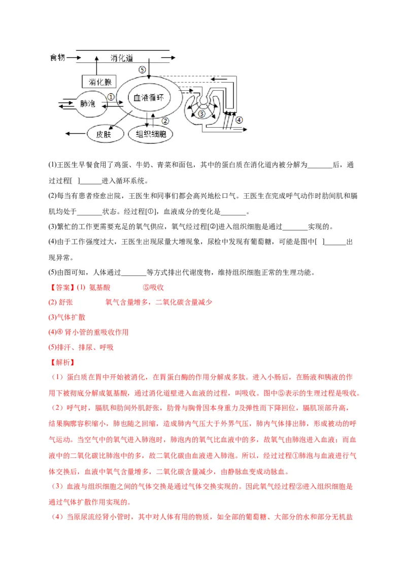 第五单元人体内废物的排出（选拔卷）-单元测试（人教版）（解析版）_初中全科电子版试卷练习试题_生物_生物人教版7下练习_人教生物7年级下单元试卷33份