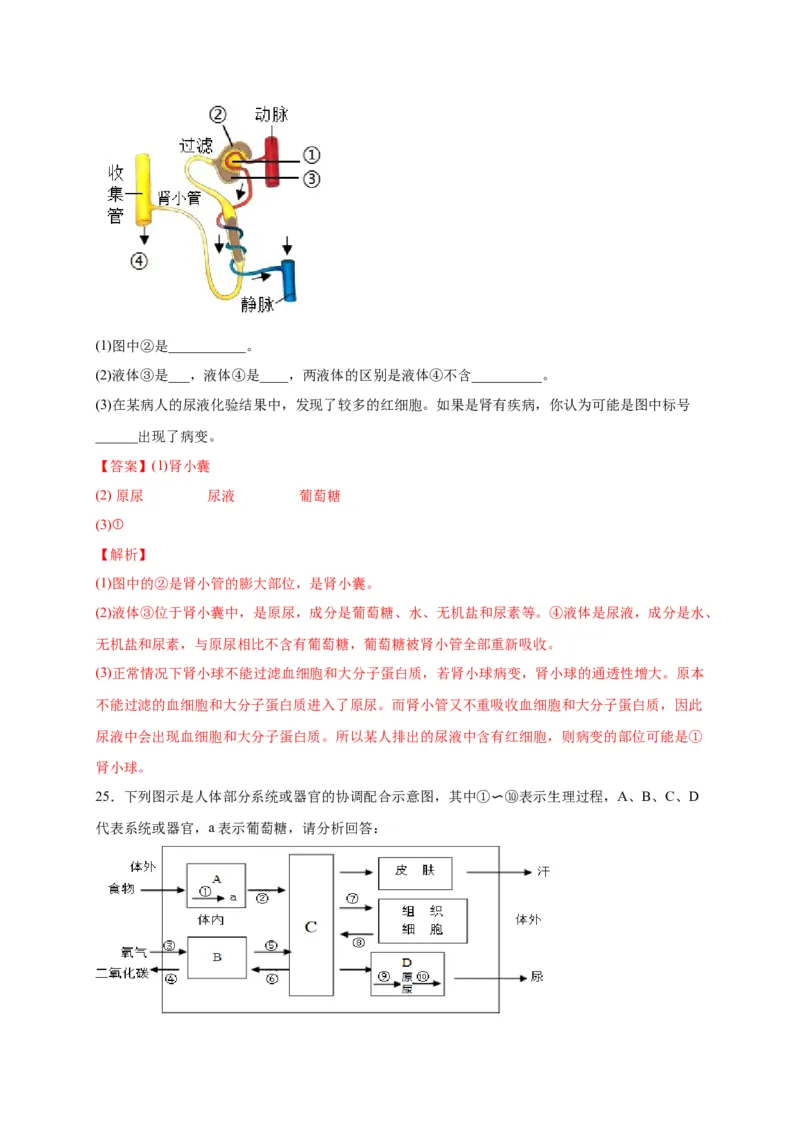 第五单元人体内废物的排出（选拔卷）-单元测试（人教版）（解析版）_初中全科电子版试卷练习试题_生物_生物人教版7下练习_人教生物7年级下单元试卷33份