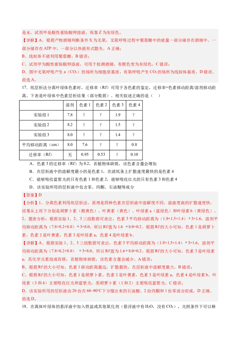 单元检测卷03细胞的能量供应和利用（解析版）_2025年新高考资料_一轮复习_2025年高考生物一轮复习考点通关卷（新高考通用）