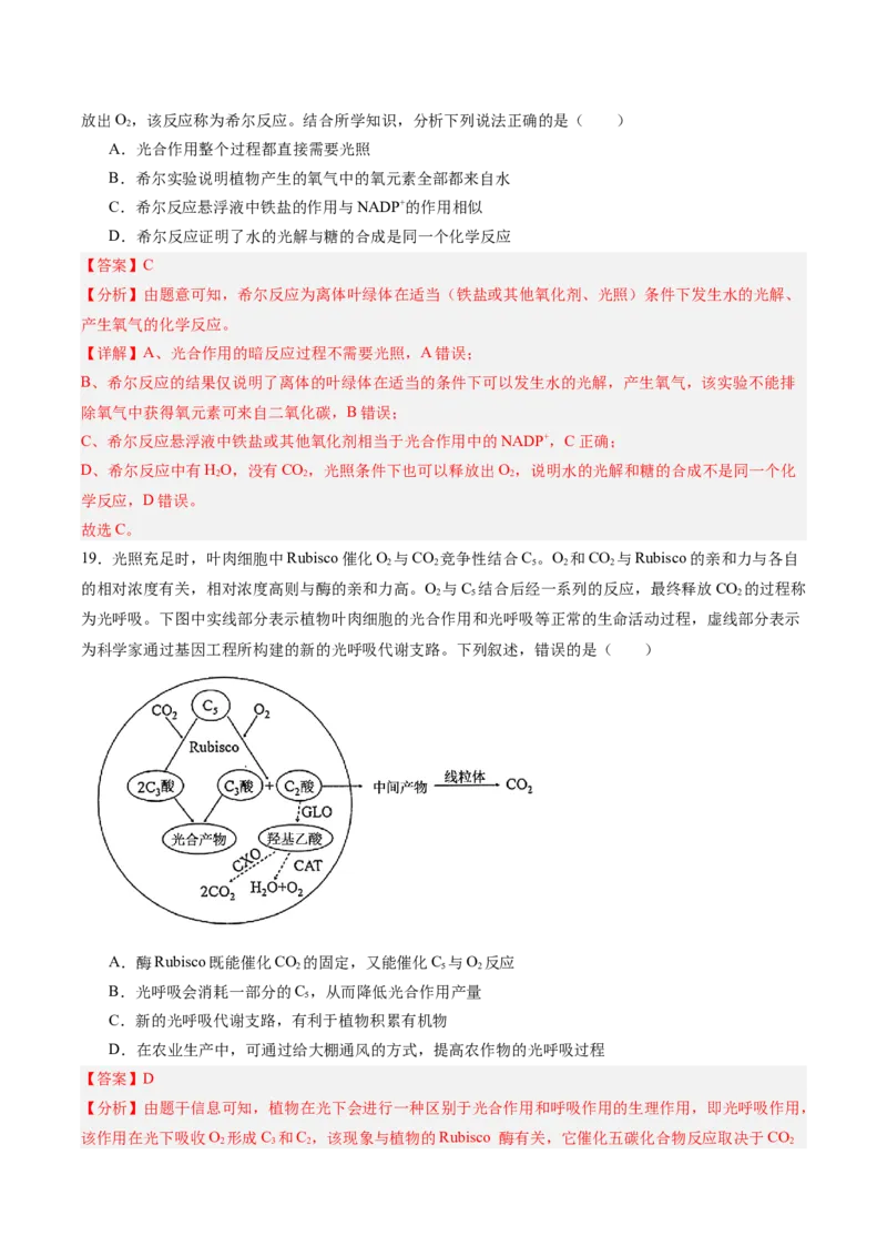 单元检测卷03细胞的能量供应和利用（解析版）_2025年新高考资料_一轮复习_2025年高考生物一轮复习考点通关卷（新高考通用）