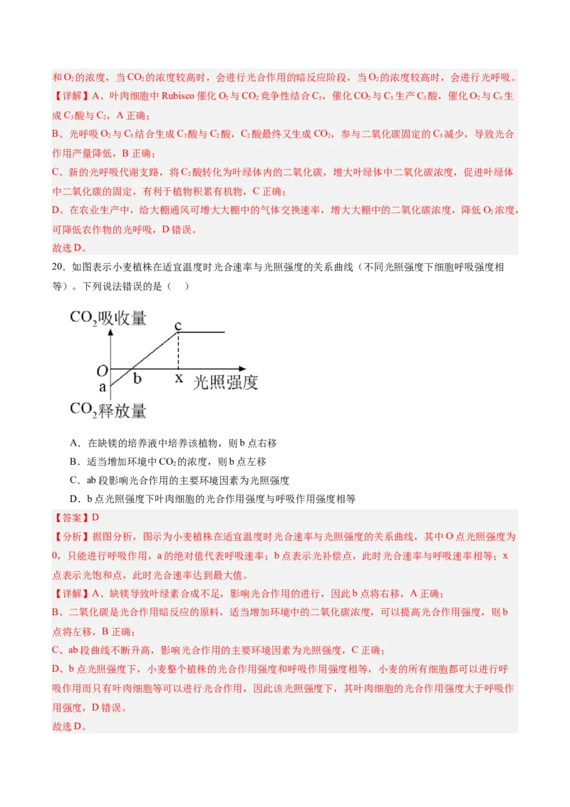单元检测卷03细胞的能量供应和利用（解析版）_2025年新高考资料_一轮复习_2025年高考生物一轮复习考点通关卷（新高考通用）
