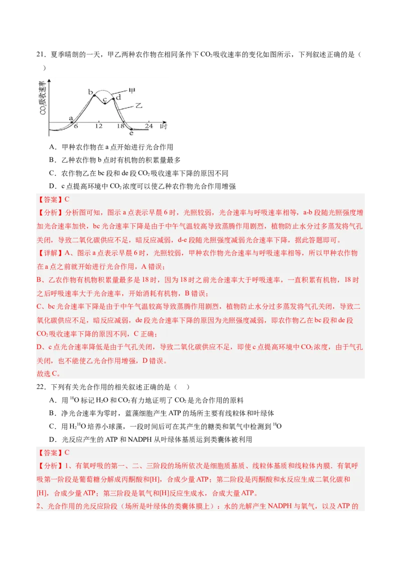 单元检测卷03细胞的能量供应和利用（解析版）_2025年新高考资料_一轮复习_2025年高考生物一轮复习考点通关卷（新高考通用）