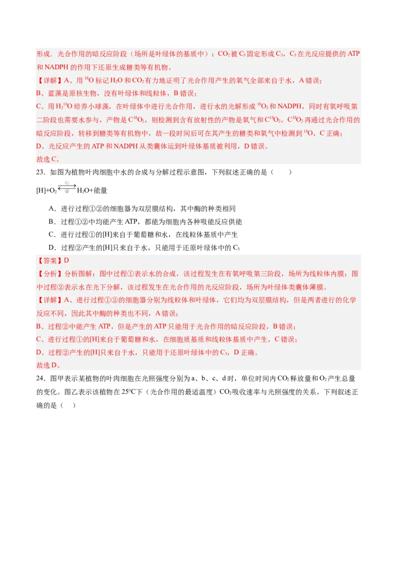 单元检测卷03细胞的能量供应和利用（解析版）_2025年新高考资料_一轮复习_2025年高考生物一轮复习考点通关卷（新高考通用）