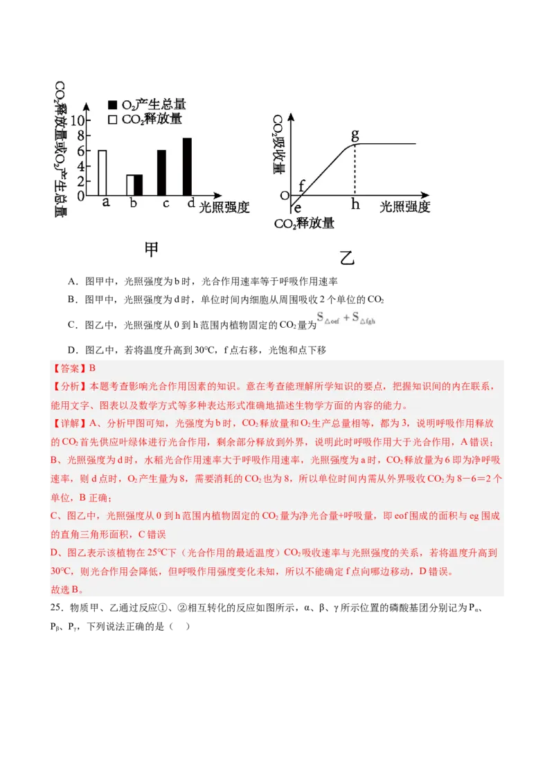 单元检测卷03细胞的能量供应和利用（解析版）_2025年新高考资料_一轮复习_2025年高考生物一轮复习考点通关卷（新高考通用）