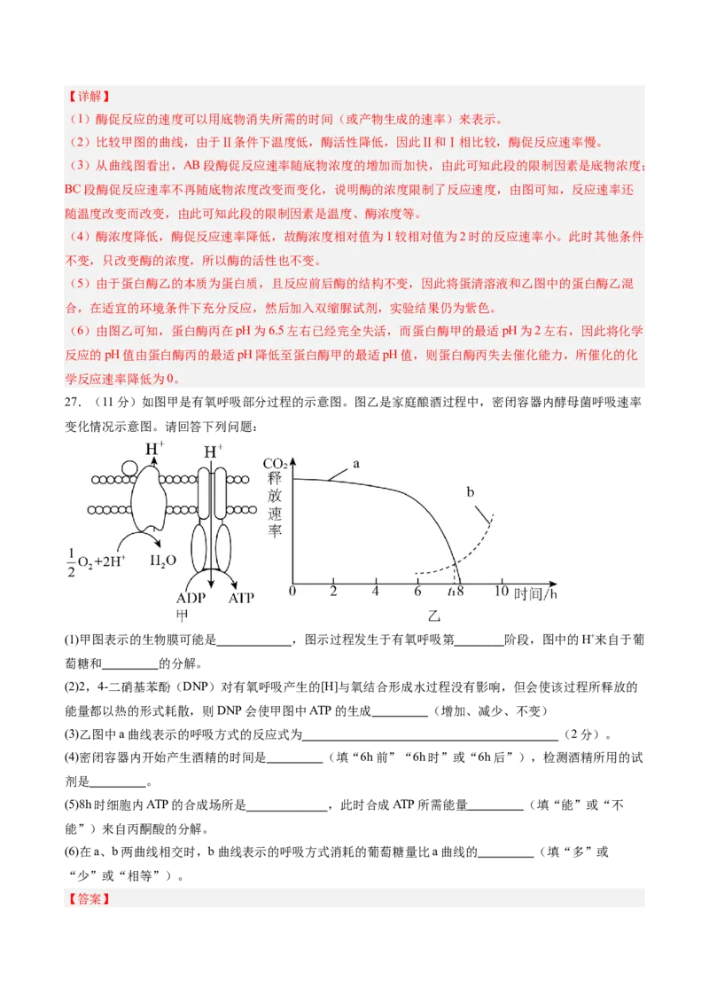 单元检测卷03细胞的能量供应和利用（解析版）_2025年新高考资料_一轮复习_2025年高考生物一轮复习考点通关卷（新高考通用）