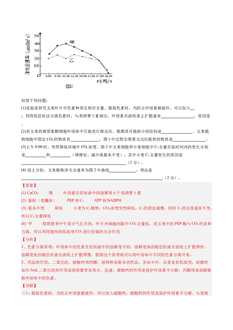 单元检测卷03细胞的能量供应和利用（解析版）_2025年新高考资料_一轮复习_2025年高考生物一轮复习考点通关卷（新高考通用）