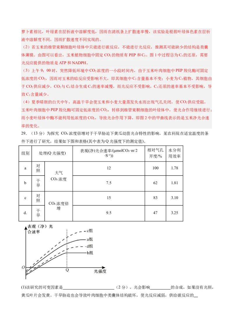 单元检测卷03细胞的能量供应和利用（解析版）_2025年新高考资料_一轮复习_2025年高考生物一轮复习考点通关卷（新高考通用）