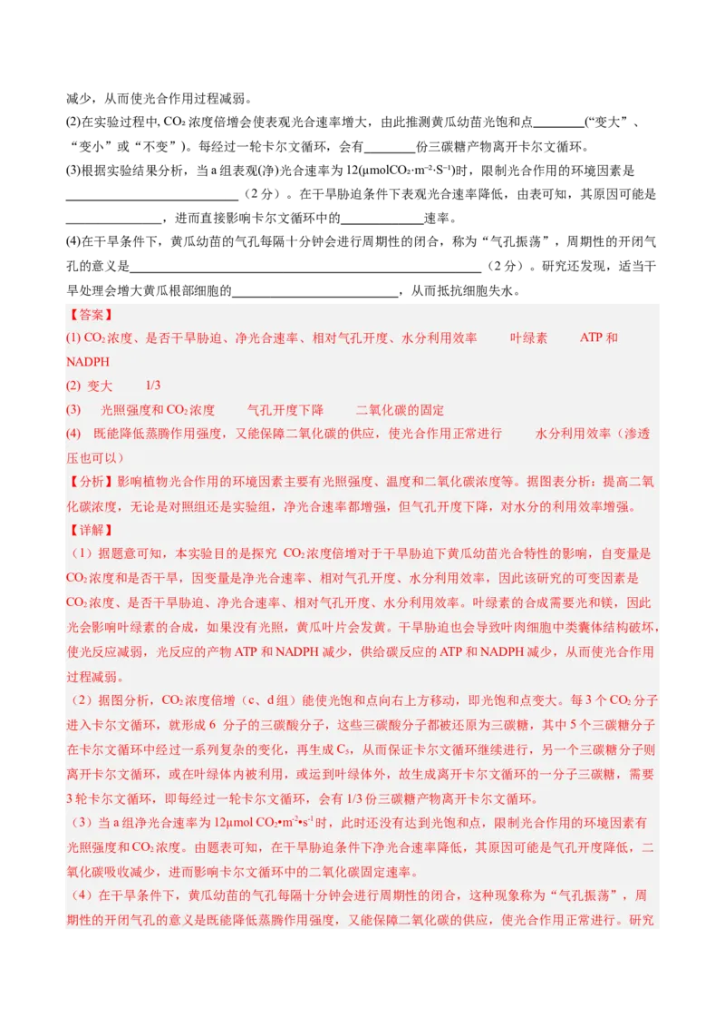 单元检测卷03细胞的能量供应和利用（解析版）_2025年新高考资料_一轮复习_2025年高考生物一轮复习考点通关卷（新高考通用）