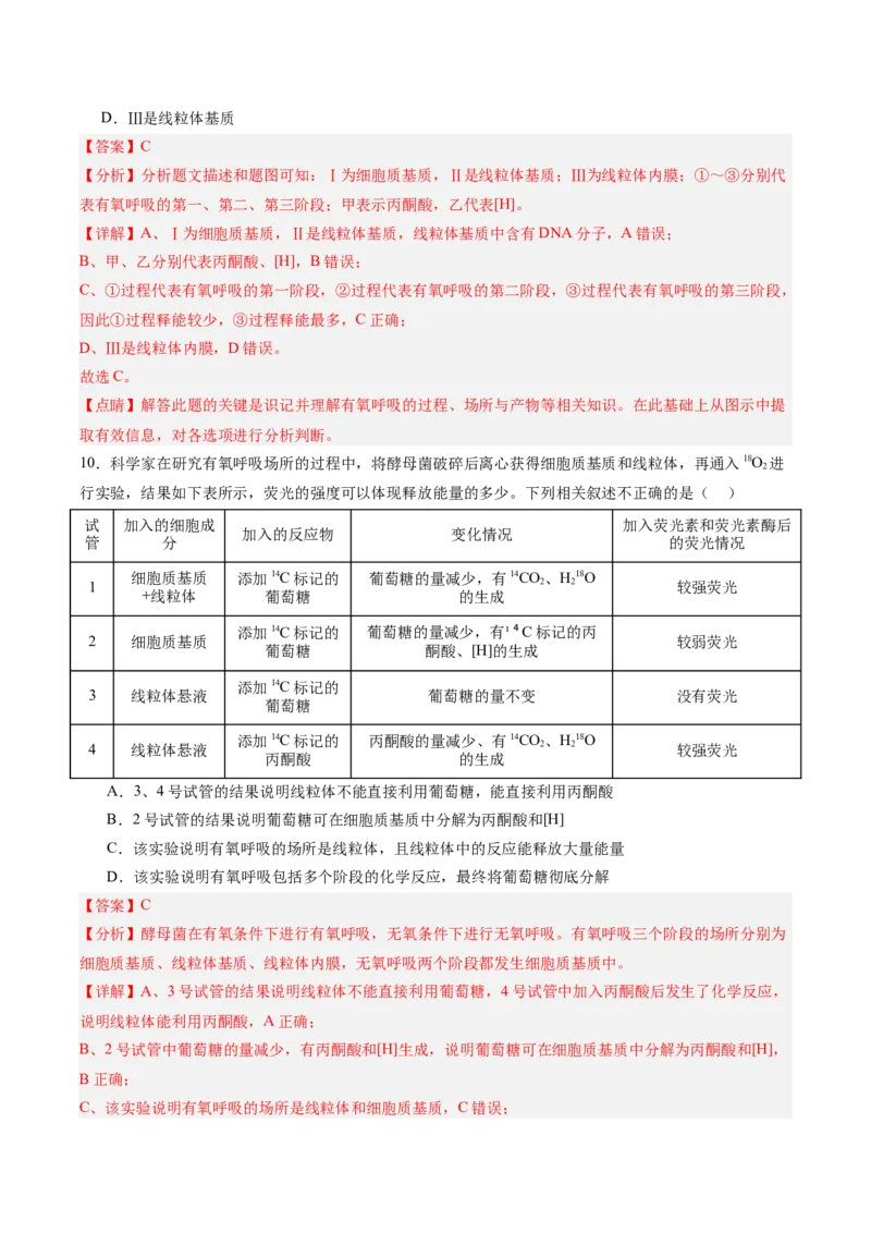 单元检测卷03细胞的能量供应和利用（解析版）_2025年新高考资料_一轮复习_2025年高考生物一轮复习考点通关卷（新高考通用）
