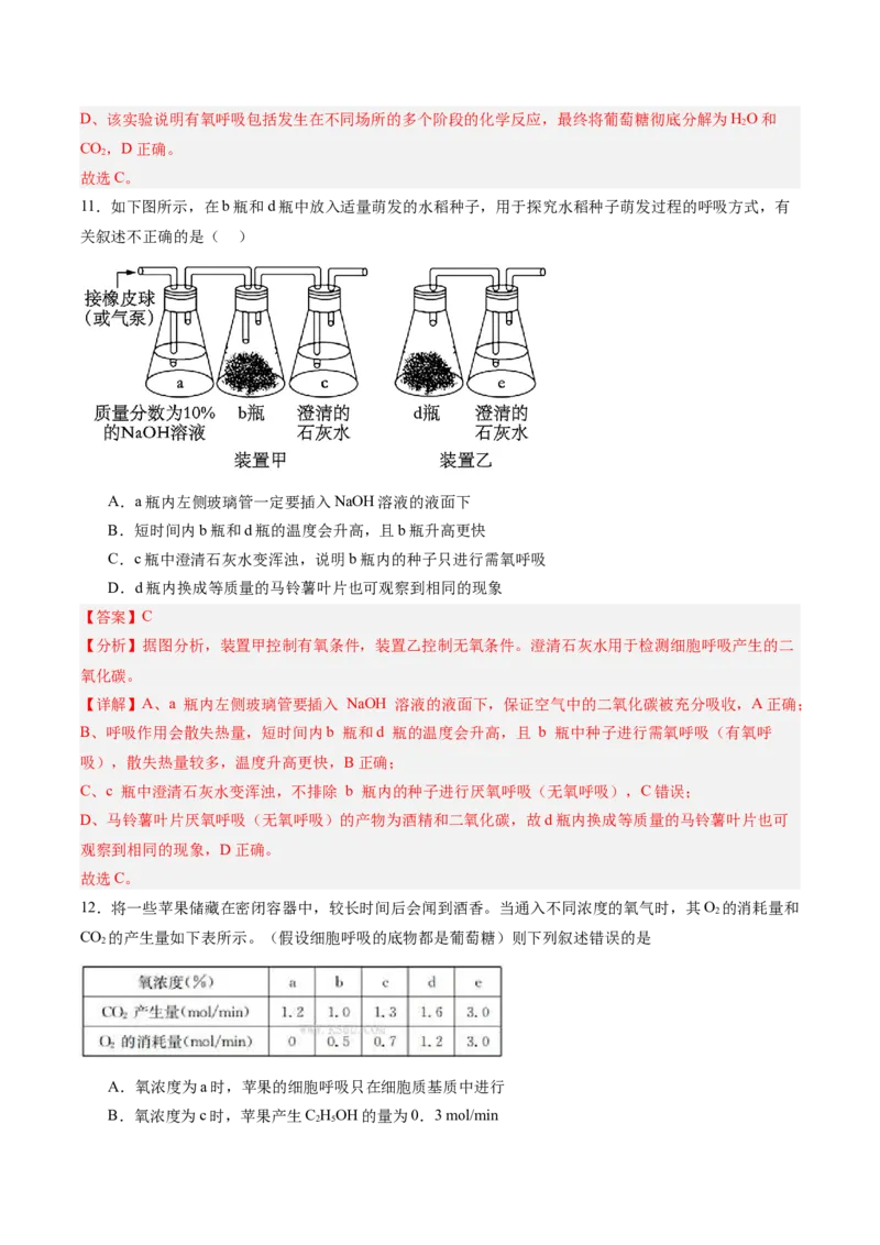 单元检测卷03细胞的能量供应和利用（解析版）_2025年新高考资料_一轮复习_2025年高考生物一轮复习考点通关卷（新高考通用）