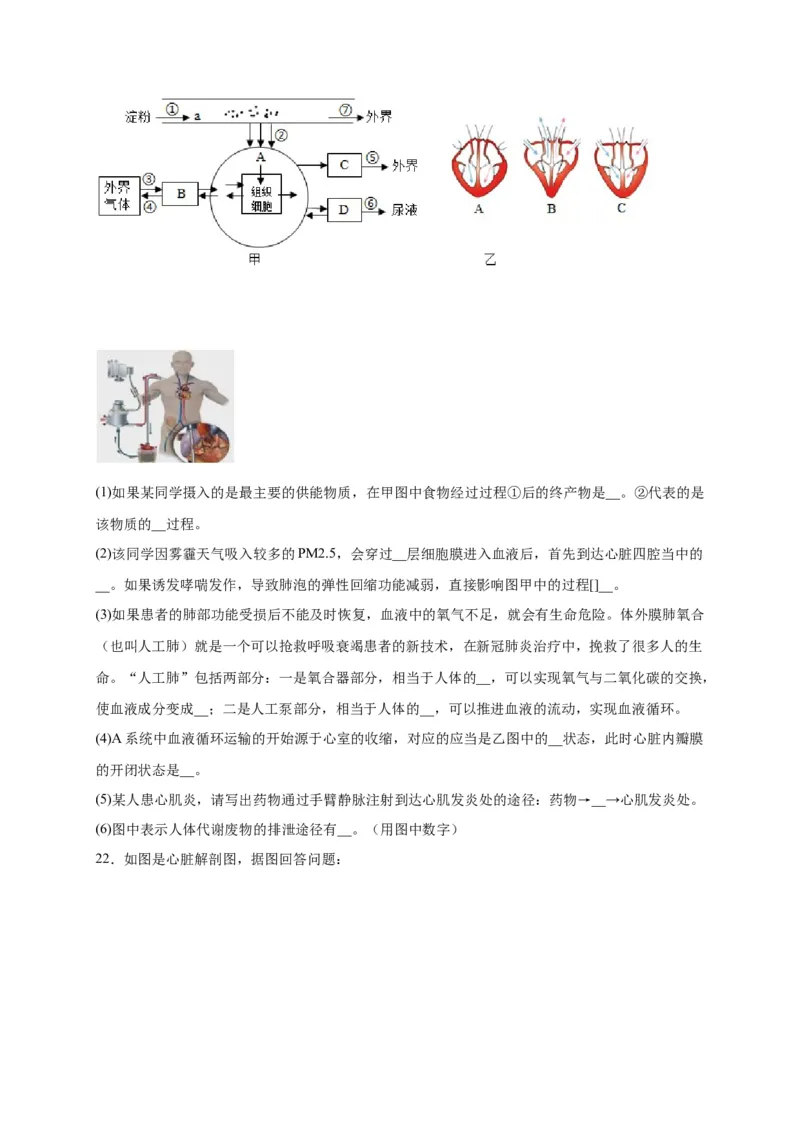 第四单元人体内物质的运输（选拔卷）-单元测试（人教版）（原卷版）_初中全科电子版试卷练习试题_生物_生物人教版7下练习_人教生物7年级下单元试卷33份