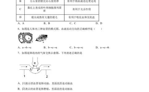 第四单元人体内物质的运输（选拔卷）-单元测试（人教版）（原卷版）_初中全科电子版试卷练习试题_生物_生物人教版7下练习_人教生物7年级下单元试卷33份
