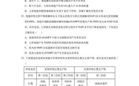 原创（新高考）2021届小题必练5细胞呼吸的原理及其应用学生版_新高考复习资料_2021年新高考资料_2021届（新高考）高考生物小题必练