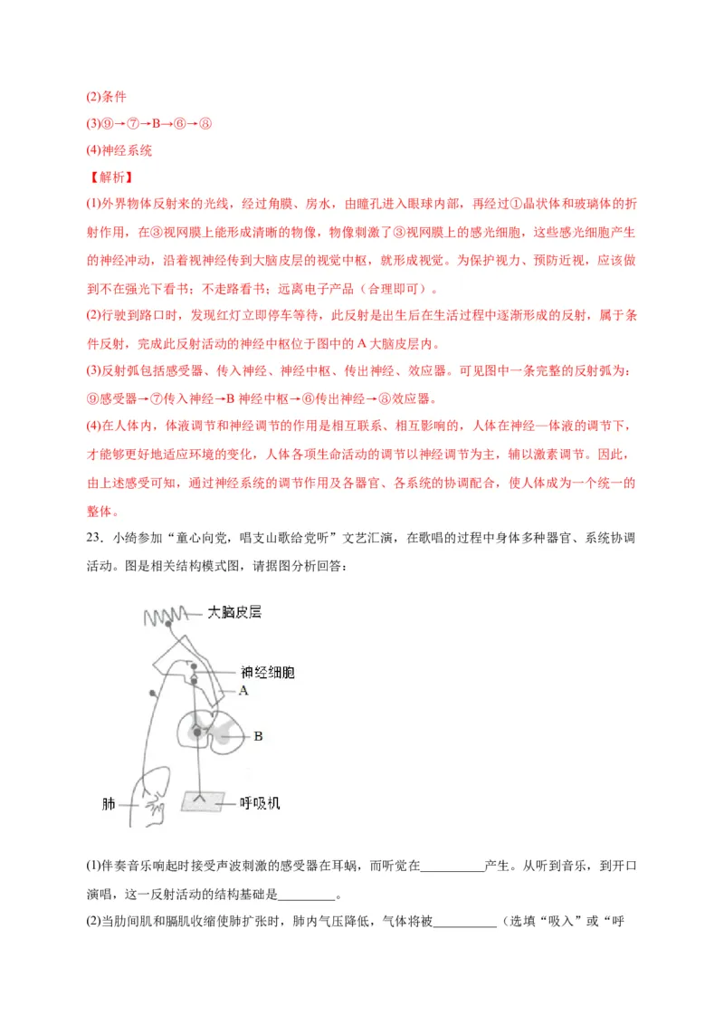 第六单元人体生命活动的调节（选拔卷）-单元测试（人教版）（解析版）_初中全科电子版试卷练习试题_生物_生物人教版7下练习_人教生物7年级下单元试卷33份