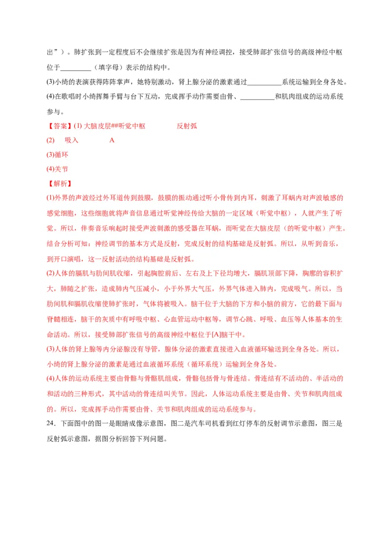 第六单元人体生命活动的调节（选拔卷）-单元测试（人教版）（解析版）_初中全科电子版试卷练习试题_生物_生物人教版7下练习_人教生物7年级下单元试卷33份
