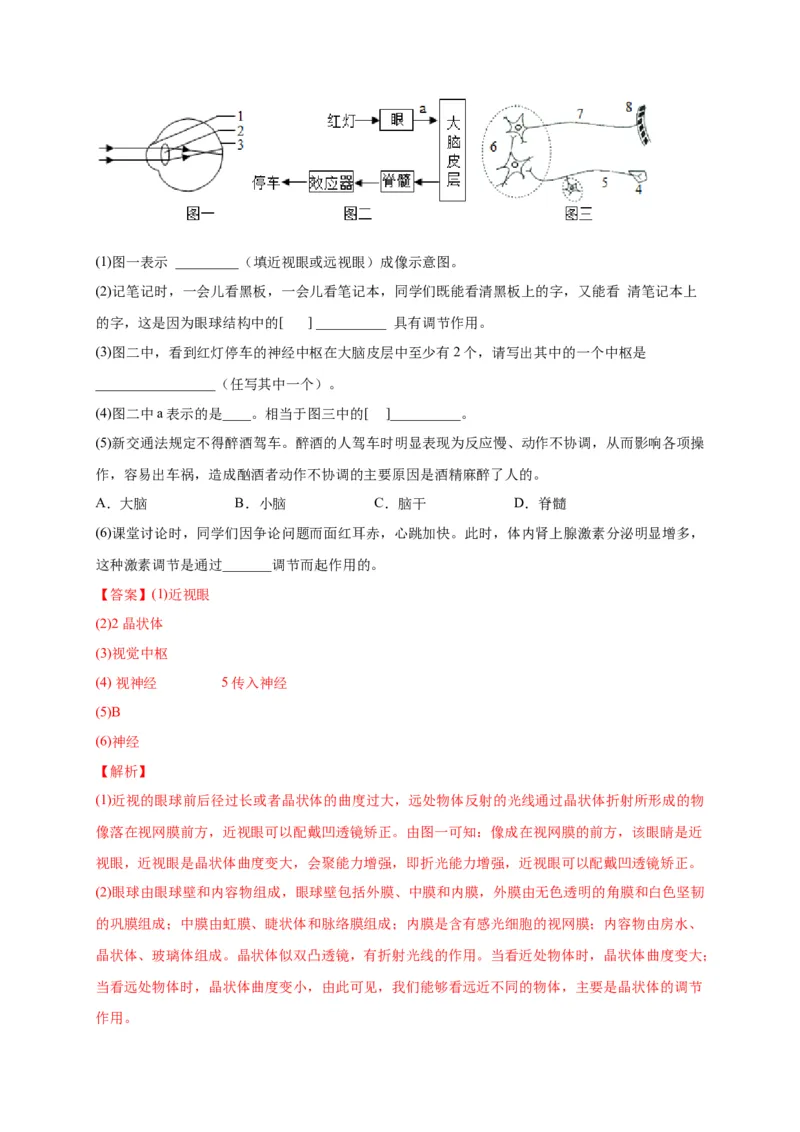 第六单元人体生命活动的调节（选拔卷）-单元测试（人教版）（解析版）_初中全科电子版试卷练习试题_生物_生物人教版7下练习_人教生物7年级下单元试卷33份