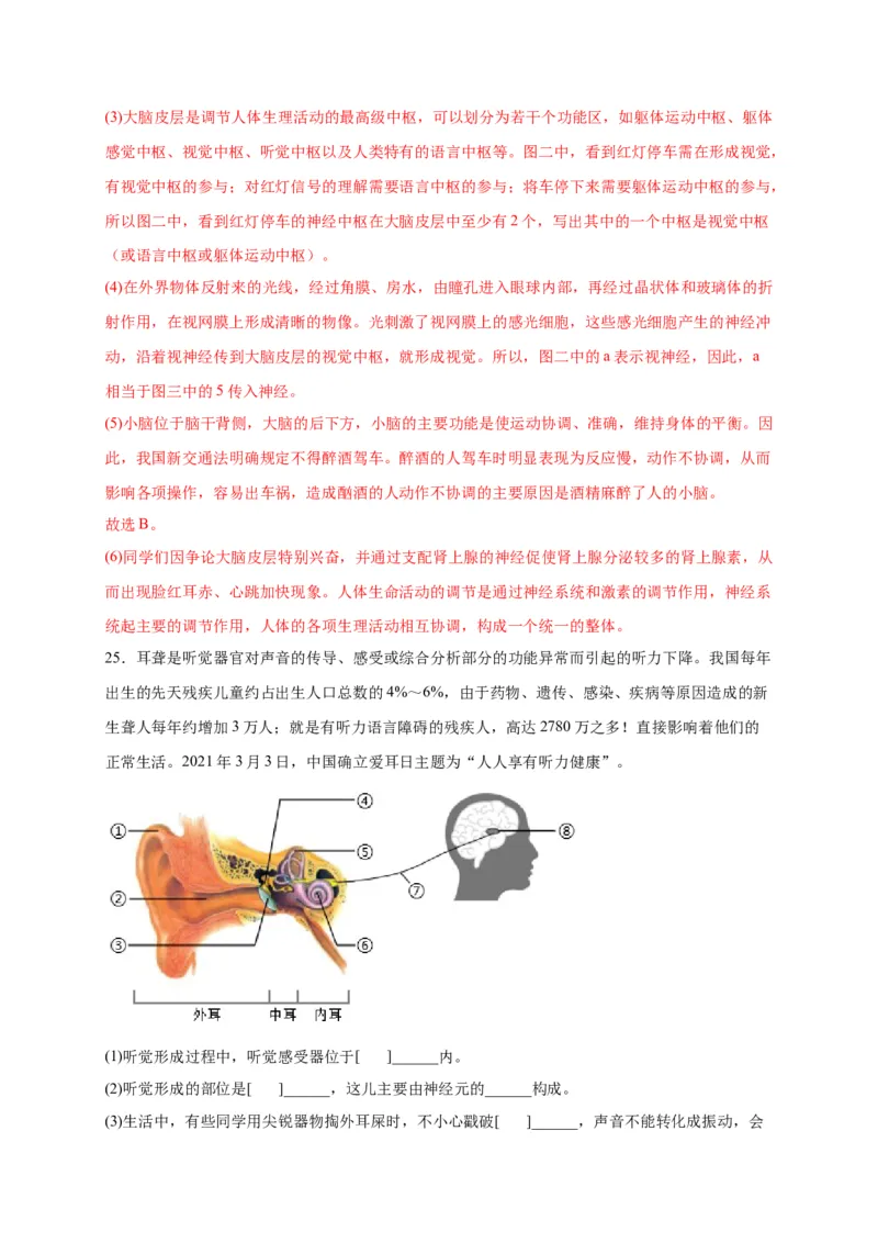 第六单元人体生命活动的调节（选拔卷）-单元测试（人教版）（解析版）_初中全科电子版试卷练习试题_生物_生物人教版7下练习_人教生物7年级下单元试卷33份