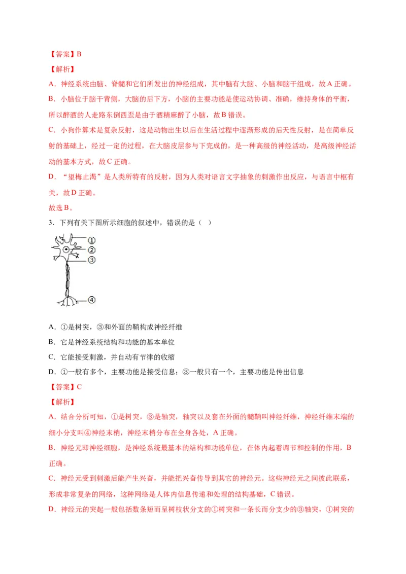 第六单元人体生命活动的调节（选拔卷）-单元测试（人教版）（解析版）_初中全科电子版试卷练习试题_生物_生物人教版7下练习_人教生物7年级下单元试卷33份