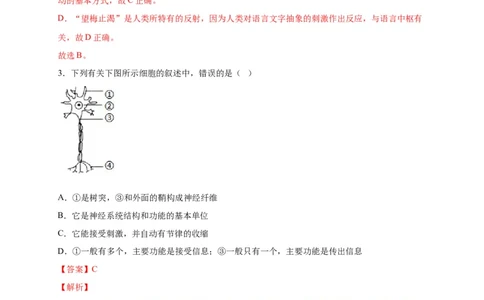第六单元人体生命活动的调节（选拔卷）-单元测试（人教版）（解析版）_初中全科电子版试卷练习试题_生物_生物人教版7下练习_人教生物7年级下单元试卷33份