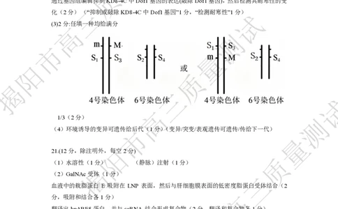 2026届高三揭阳二模生物学答案及评分细则_2024-2026高三（6-6月题库）_2026年04月高三试卷_260428广东省揭阳市2025-2026学年度高三4月教学质量二模（全科）