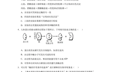 原创2021届小题必练4酶与ATP学生版_通用版（老高考）复习资料_2023年复习资料_专项复习_2023《微专题&middot;小练习》&middot;生物_模拟题_2021届小题优练-生物_原创2021届小题必练4酶与ATP