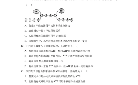 原创2021届小题必练4酶与ATP学生版_通用版（老高考）复习资料_2023年复习资料_专项复习_2023《微专题&middot;小练习》&middot;生物_模拟题_2021届小题优练-生物_原创2021届小题必练4酶与ATP