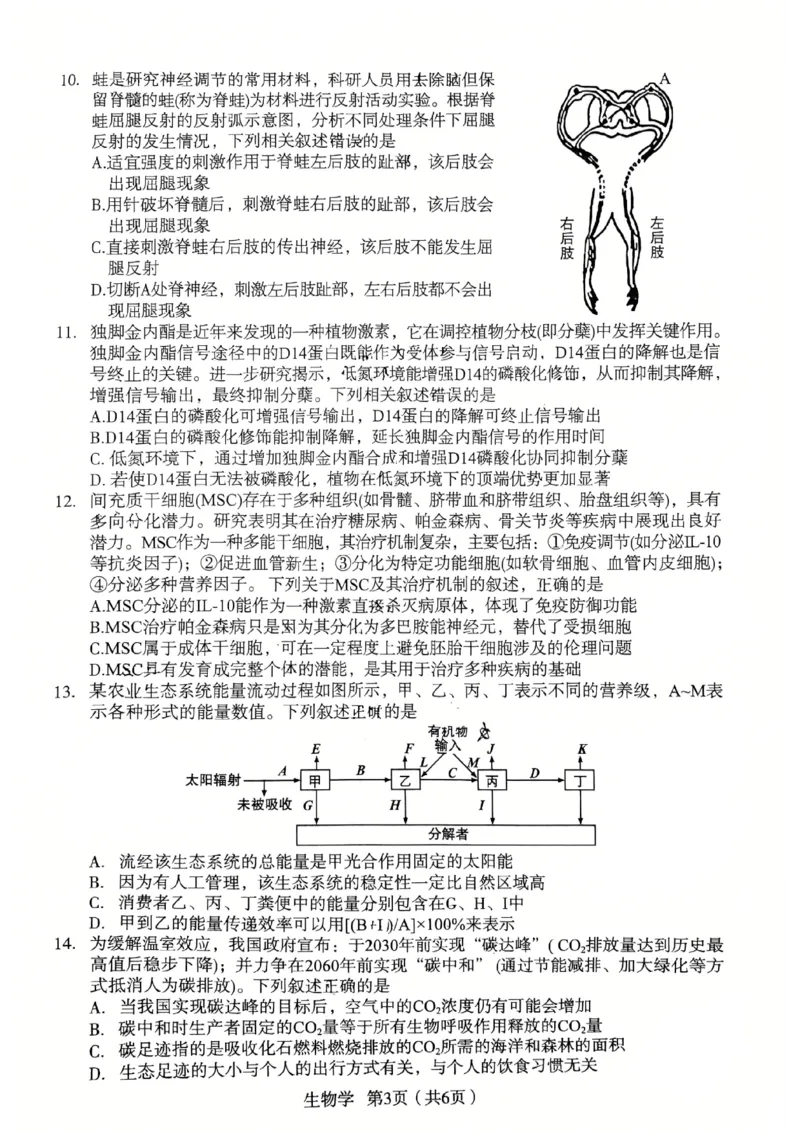 2026宝鸡高考模拟检测试题(二)(1)_2024-2026高三（6-6月题库）_2026年03月高三试卷_260324陕西省宝鸡市2026届高考模拟检测试题（二）（全科）