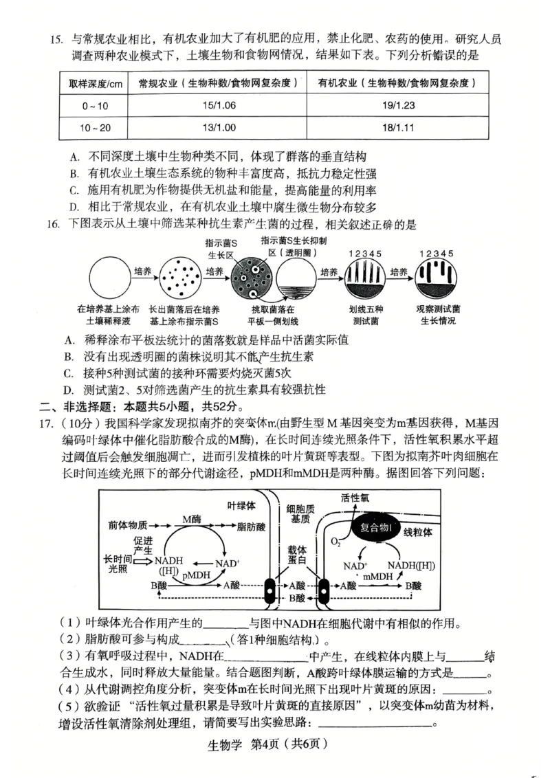 2026宝鸡高考模拟检测试题(二)(1)_2024-2026高三（6-6月题库）_2026年03月高三试卷_260324陕西省宝鸡市2026届高考模拟检测试题（二）（全科）