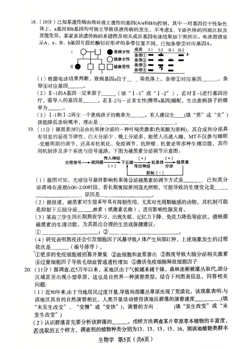 2026宝鸡高考模拟检测试题(二)(1)_2024-2026高三（6-6月题库）_2026年03月高三试卷_260324陕西省宝鸡市2026届高考模拟检测试题（二）（全科）