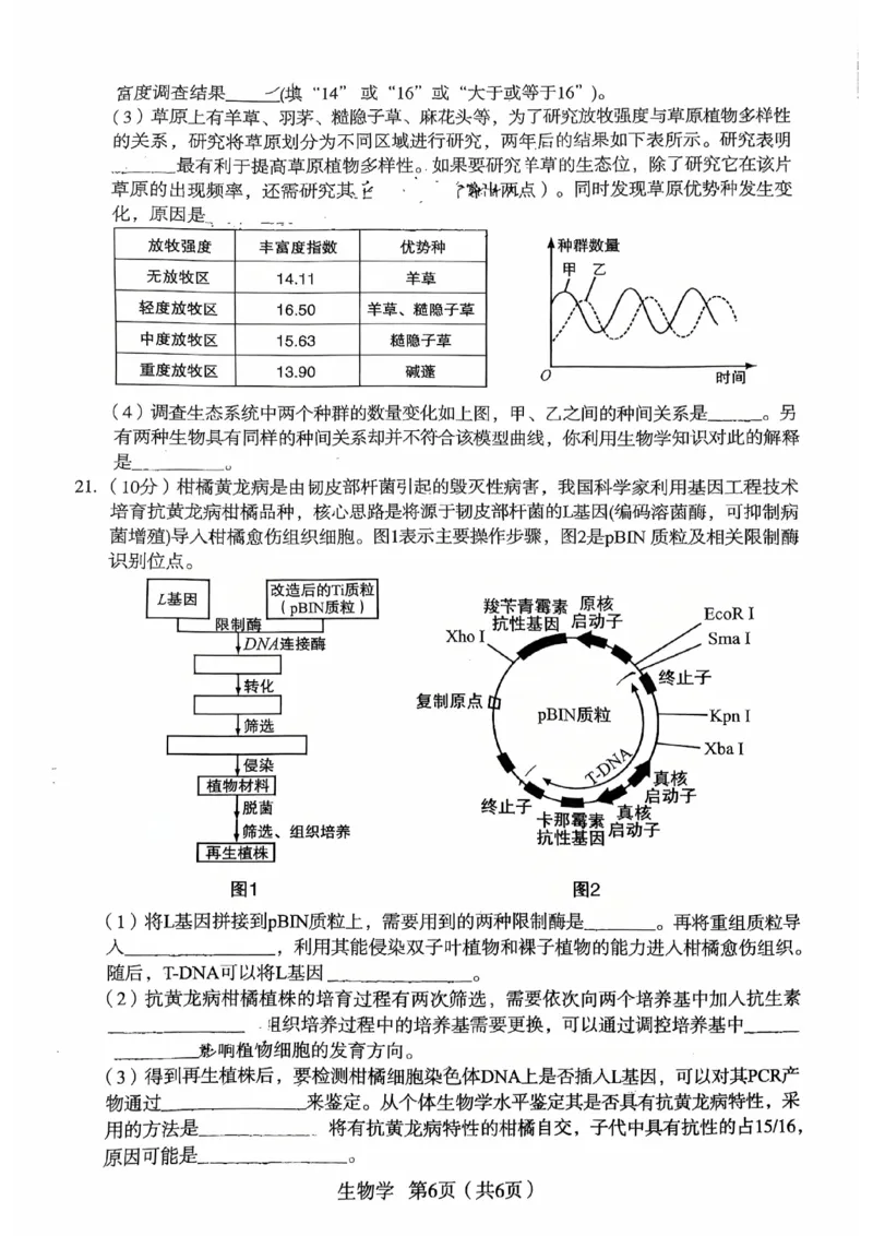 2026宝鸡高考模拟检测试题(二)(1)_2024-2026高三（6-6月题库）_2026年03月高三试卷_260324陕西省宝鸡市2026届高考模拟检测试题（二）（全科）