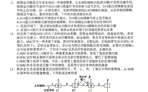 2026宝鸡高考模拟检测试题(二)(1)_2024-2026高三（6-6月题库）_2026年03月高三试卷_260324陕西省宝鸡市2026届高考模拟检测试题（二）（全科）