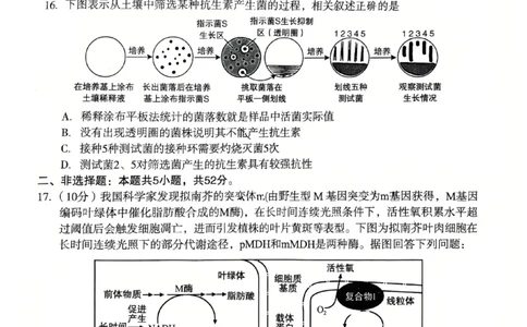 2026宝鸡高考模拟检测试题(二)(1)_2024-2026高三（6-6月题库）_2026年03月高三试卷_260324陕西省宝鸡市2026届高考模拟检测试题（二）（全科）