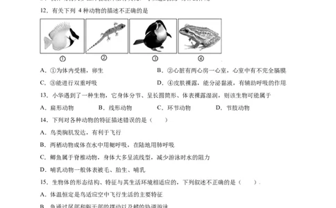 第五单元（第一章）动物的主要类群（选拔卷）-（人教版）（原卷版）_初中全科电子版试卷练习试题_生物_生物8上练习_人教生物8年级上单元试卷48份