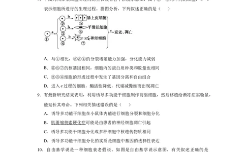 原创2021届小题必练7细胞的生命历程学生版_通用版（老高考）复习资料_2023年复习资料_专项复习_2023《微专题&middot;小练习》&middot;生物_模拟题_2021届小题优练-生物