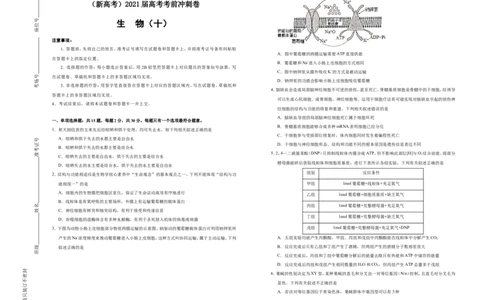 原创（新高考）2021届高考考前冲刺卷生物（十）学生版_新高考复习资料_2021年新高考资料_2021届高考考前冲刺卷（新高考）5.31更新