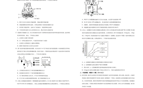 原创（新高考）2021届高考考前冲刺卷生物（十）学生版_新高考复习资料_2021年新高考资料_2021届高考考前冲刺卷（新高考）5.31更新