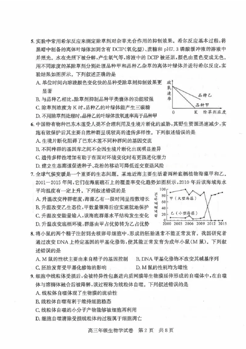 2026届武昌区高三元调生物试卷_2024-2026高三（6-6月题库）_2026年02月高三试卷_260201湖北省2026届武汉市武昌区元月高三期末考试（全科）