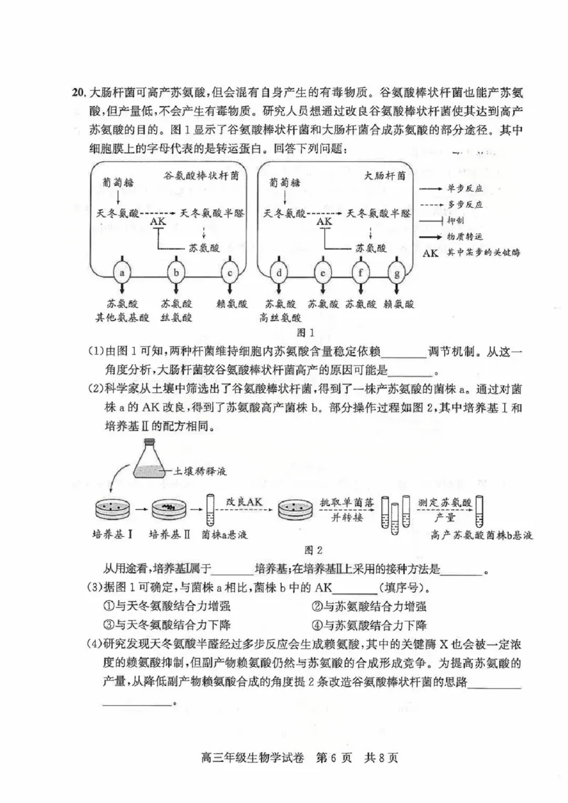 2026届武昌区高三元调生物试卷_2024-2026高三（6-6月题库）_2026年02月高三试卷_260201湖北省2026届武汉市武昌区元月高三期末考试（全科）
