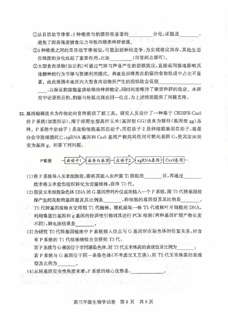 2026届武昌区高三元调生物试卷_2024-2026高三（6-6月题库）_2026年02月高三试卷_260201湖北省2026届武汉市武昌区元月高三期末考试（全科）