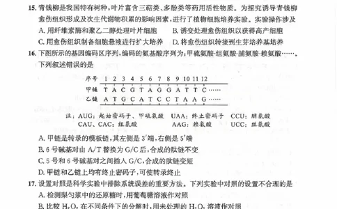 2026届武昌区高三元调生物试卷_2024-2026高三（6-6月题库）_2026年02月高三试卷_260201湖北省2026届武汉市武昌区元月高三期末考试（全科）