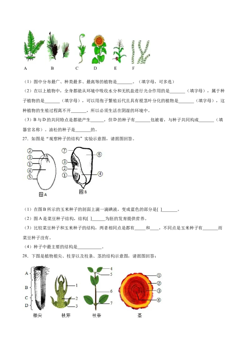 题型03（识图题）-（人教版）（原卷版）_初中全科电子版试卷练习试题_生物_生物人教版7上练习&mdash;24新版已更新_人教生物7年级上专项练习28份