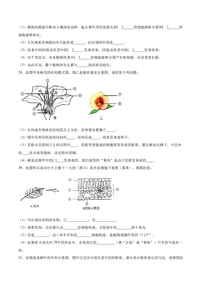 题型03（识图题）-（人教版）（原卷版）_初中全科电子版试卷练习试题_生物_生物人教版7上练习&mdash;24新版已更新_人教生物7年级上专项练习28份