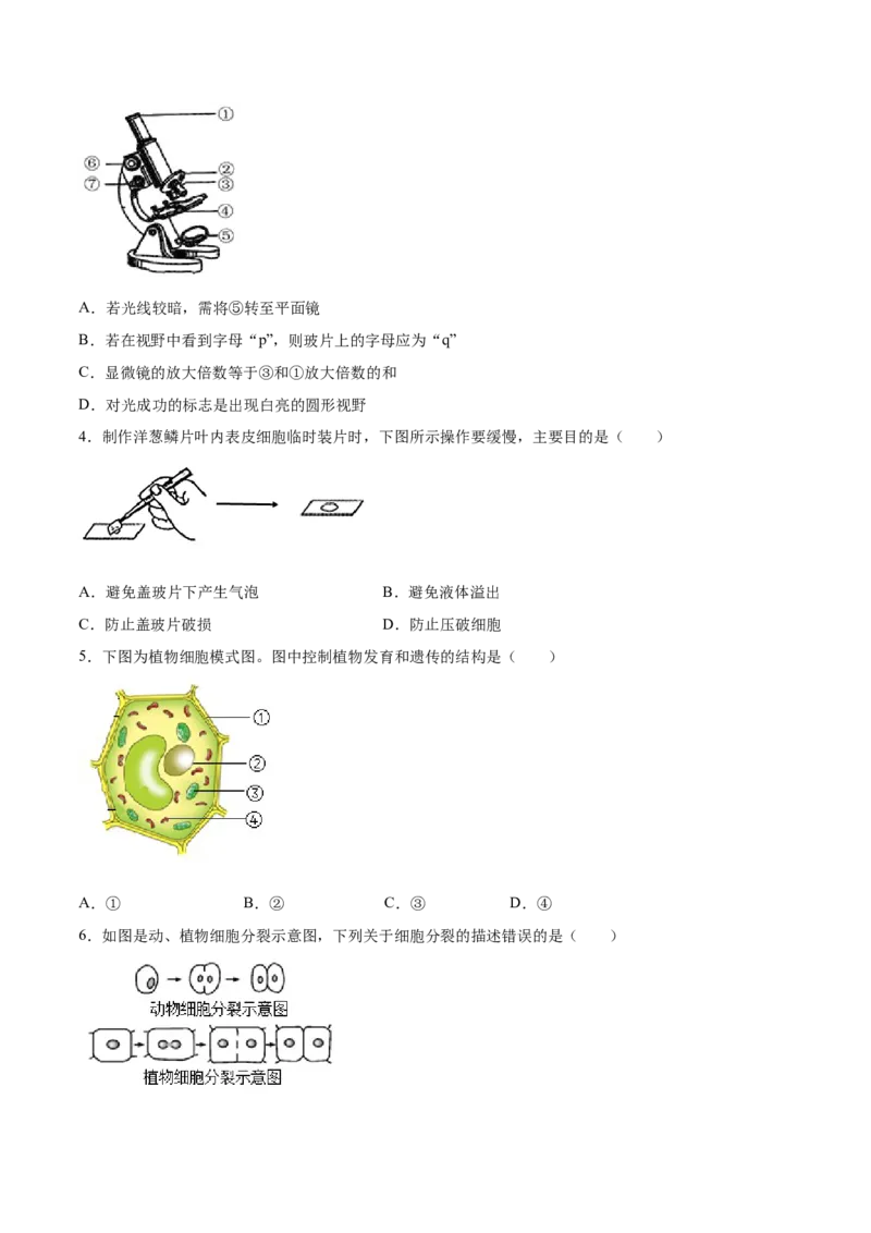 题型03（识图题）-（人教版）（原卷版）_初中全科电子版试卷练习试题_生物_生物人教版7上练习&mdash;24新版已更新_人教生物7年级上专项练习28份