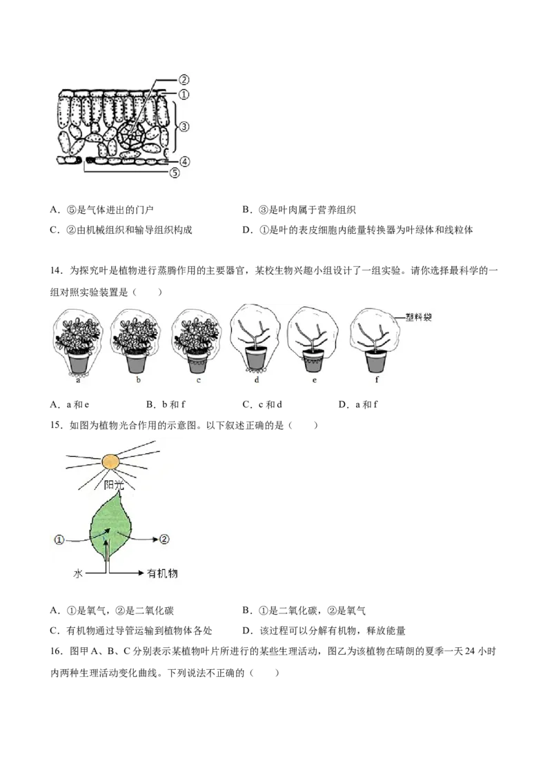 题型03（识图题）-（人教版）（原卷版）_初中全科电子版试卷练习试题_生物_生物人教版7上练习&mdash;24新版已更新_人教生物7年级上专项练习28份