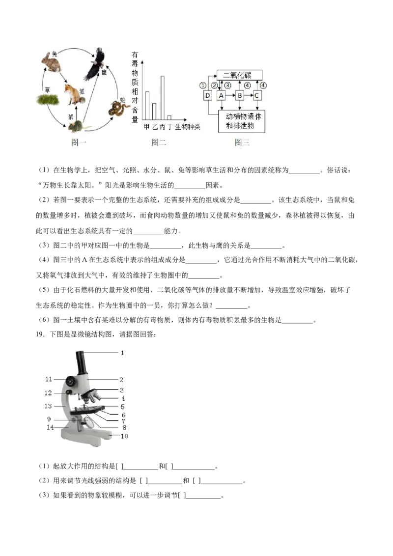 题型03（识图题）-（人教版）（原卷版）_初中全科电子版试卷练习试题_生物_生物人教版7上练习&mdash;24新版已更新_人教生物7年级上专项练习28份