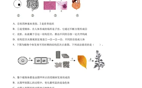 题型03（识图题）-（人教版）（原卷版）_初中全科电子版试卷练习试题_生物_生物人教版7上练习&mdash;24新版已更新_人教生物7年级上专项练习28份