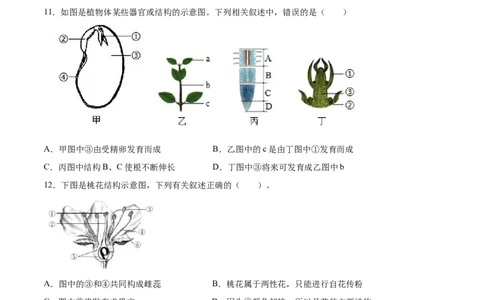 题型03（识图题）-（人教版）（原卷版）_初中全科电子版试卷练习试题_生物_生物人教版7上练习&mdash;24新版已更新_人教生物7年级上专项练习28份