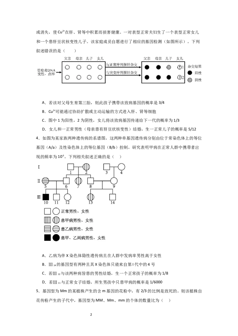单元检测卷05基因的传递规律（原卷版）_新高考复习资料_2024年新高考复习资料_一轮复习资料_完2024年高考生物一轮复习考点通关卷（新高考）_单元检测卷05基因的传递规律