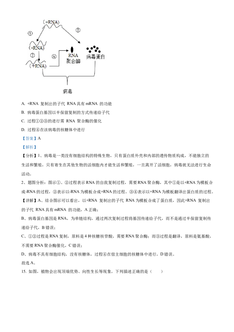 2026届陕西省西安中学高三第三次模拟考试生物试卷Word版含解析_2024-2026高三（6-6月题库）_2026年04月高三试卷_260405陕西省西安中学2026届高三下学期第三次模拟考试