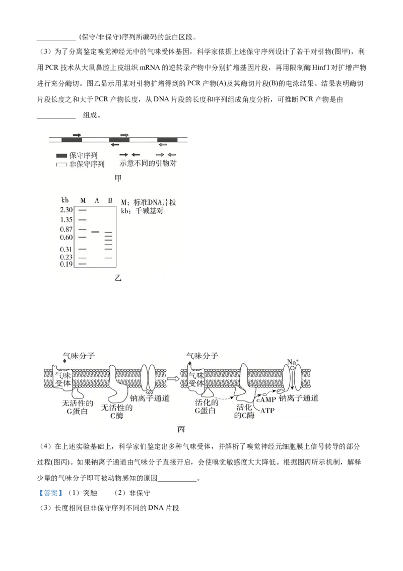 2026届陕西省西安中学高三第三次模拟考试生物试卷Word版含解析_2024-2026高三（6-6月题库）_2026年04月高三试卷_260405陕西省西安中学2026届高三下学期第三次模拟考试